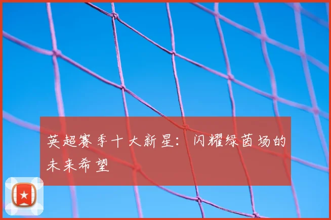 英超赛季十大新星:闪耀绿茵场的未来希望