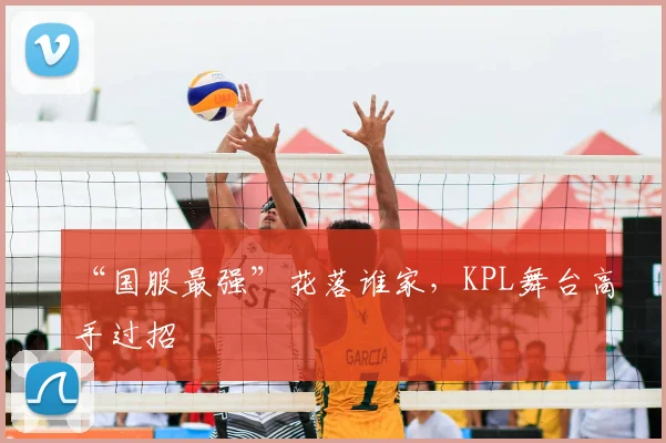 “国服最强”花落谁家,KPL舞台高手过招