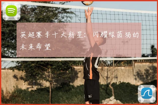 英超赛季十大新星：闪耀绿茵场的未来希望